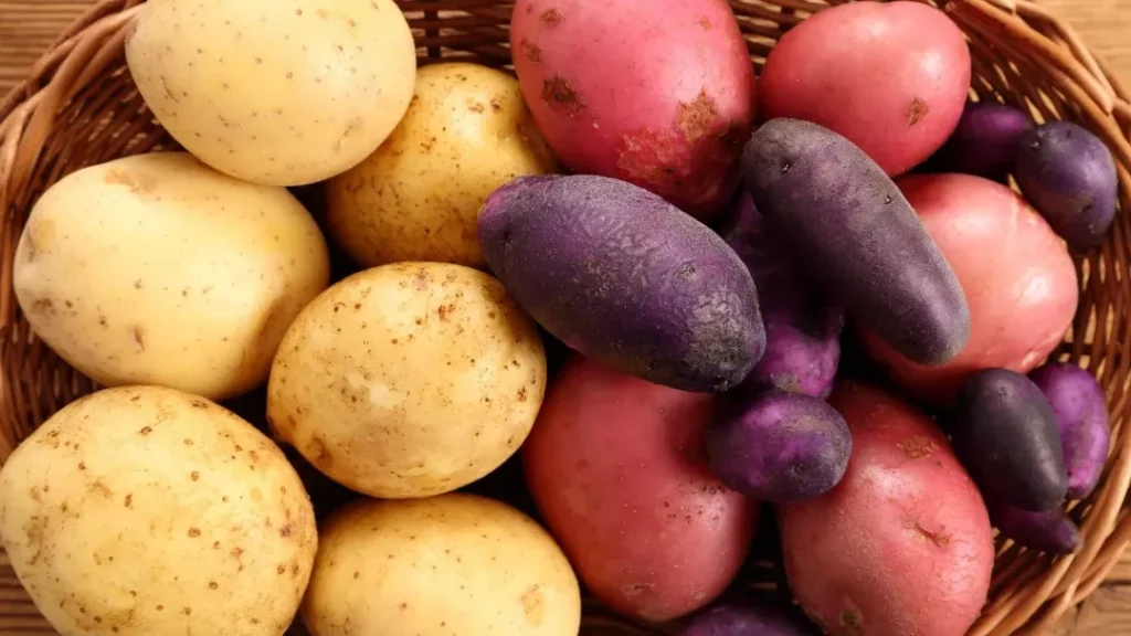 Les pommes de terre peuvent-elles être considérées comme un médicament ?